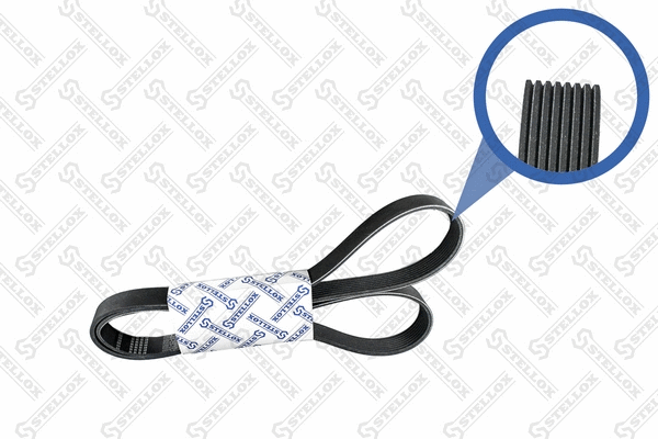 V-Ribbed Belt (08-01635-SX)