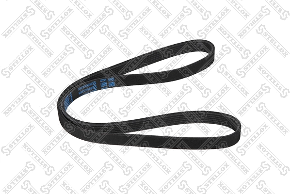 V-Ribbed Belt (96-01095-SX)