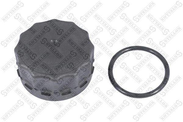 Cap, radiator (89-05209-SX)