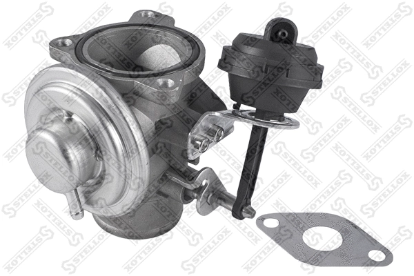 EGR Valve (01-25011-SX)