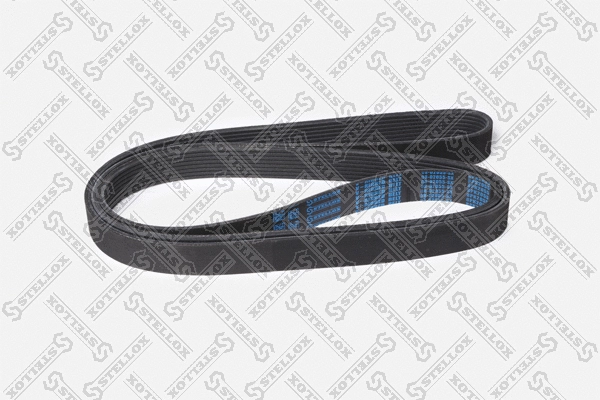 V-Ribbed Belt (08-02055-SX)