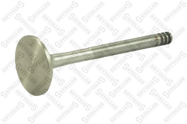 Exhaust Valve (01-24224-SX)