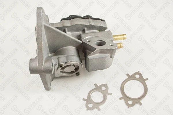 EGR Valve (01-25043-SX)
