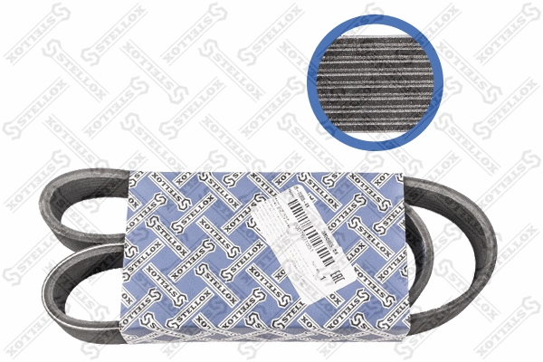V-Ribbed Belt (08-00955-SX)