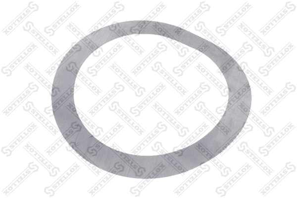 Washer (84-55058-SX)