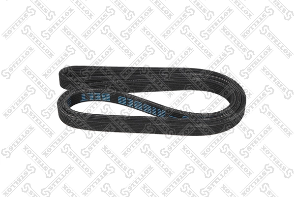 V-Ribbed Belt (97-01884-SX)