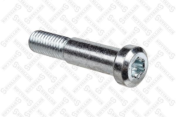 Screw (79-09003-SX)