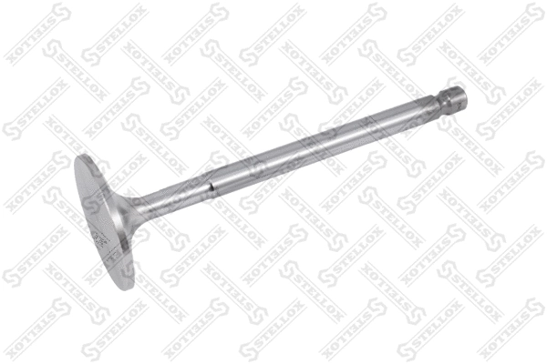 Intake Valve (81-23920-SX)