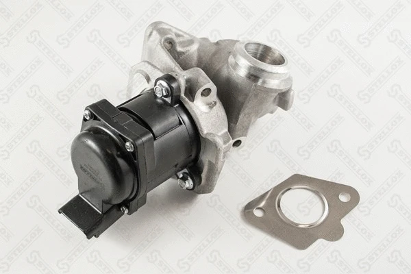 EGR Valve (01-25006-SX)