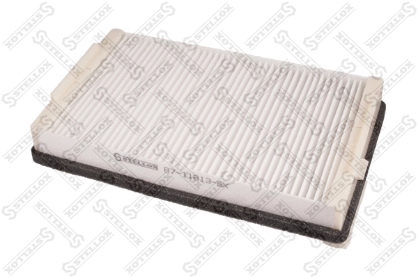 Filter, cabin air (87-11813-SX)