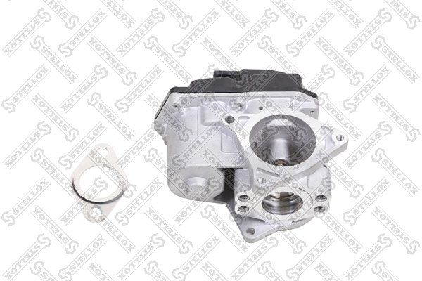 EGR Valve (01-25039-SX)