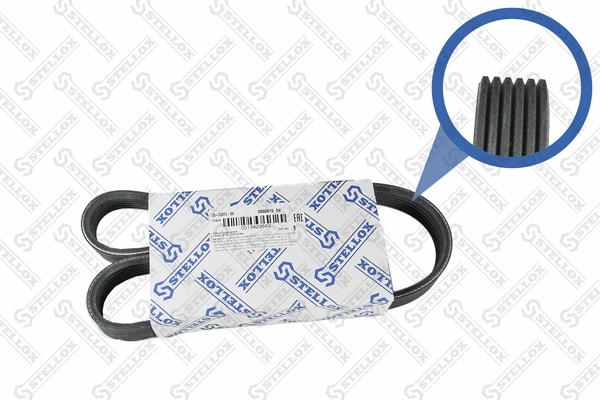 V-Ribbed Belt (06-00870-SX)