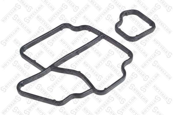 Gasket, oil cooler (11-25771-SX)