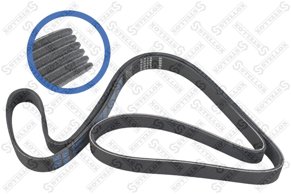 V-Ribbed Belt (06-01733-SX)