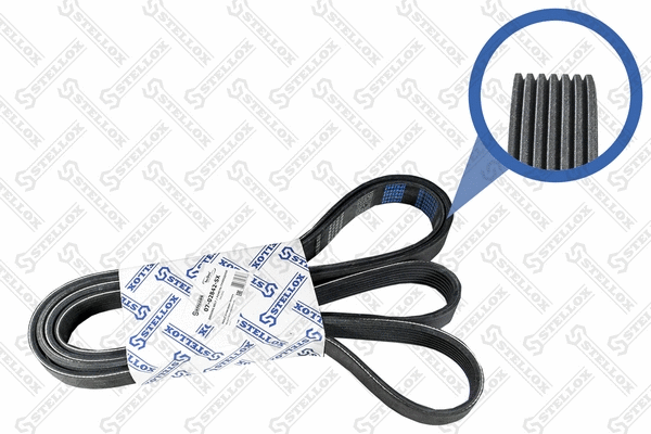 V-Ribbed Belt (07-02842-SX)