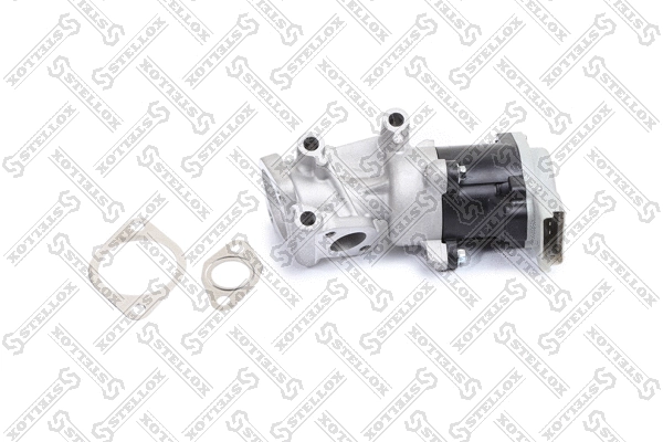 EGR Valve (01-25029-SX)