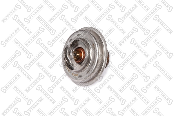 Thermostat, coolant (23-40239-SX)