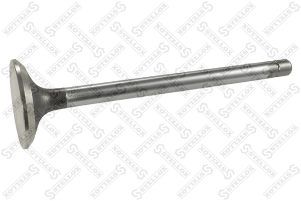 Exhaust Valve (81-24617-SX)