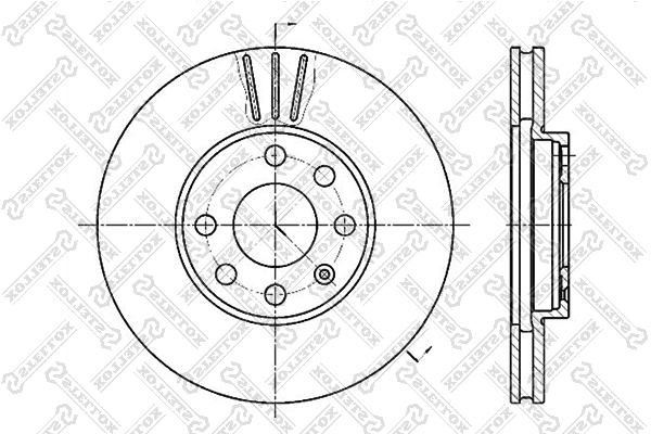 Brake Disc (6020-3629V-SX)