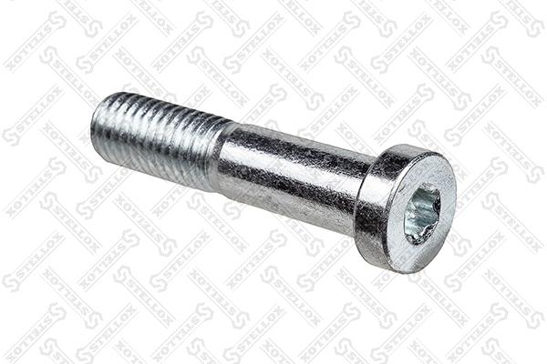 Screw (79-09004-SX)