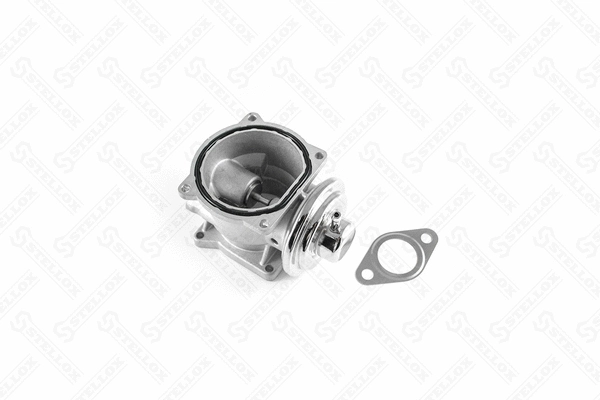 EGR Valve (01-25030-SX)
