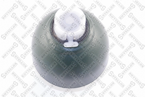 Pressure Accumulator, pneumatic suspension (70-00083-SX)