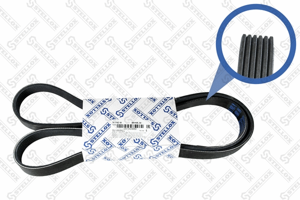 V-Ribbed Belt (06-01635-SX)