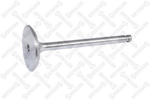 Intake Valve (01-23166-SX)