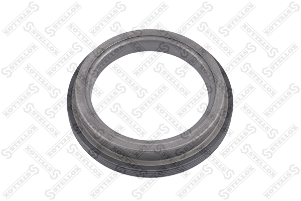 Shaft Seal, wheel hub (81-01003-SX)