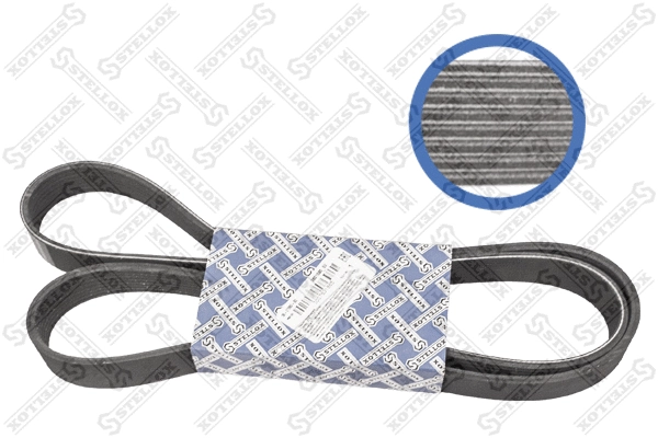 V-Ribbed Belt (08-01580-SX)