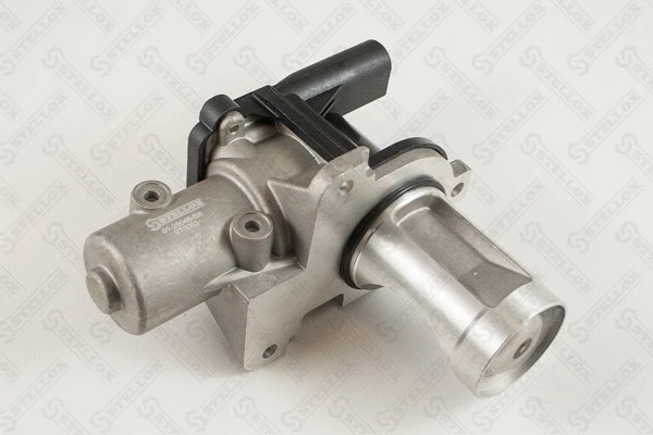 EGR Valve (01-25046-SX)