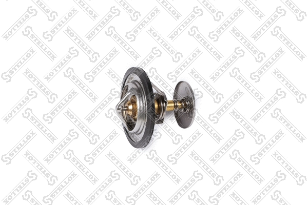 Thermostat, coolant (23-40247-SX)