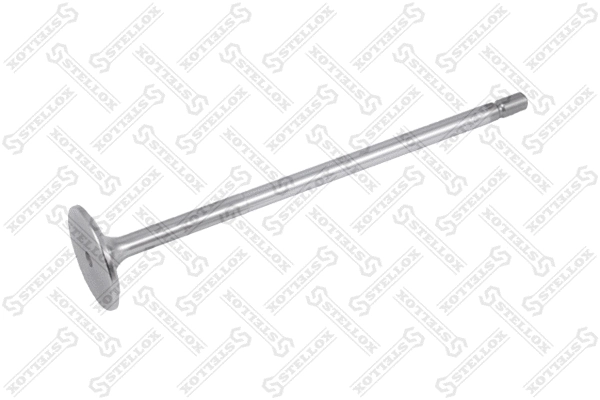 Intake Valve (81-24631-SX)