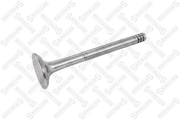 Exhaust Valve (01-24118-SX)