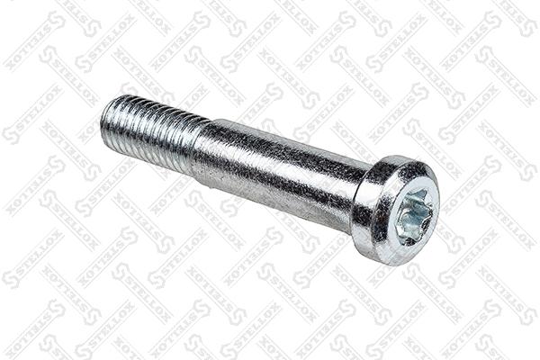 Screw (79-09007-SX)