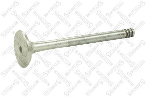 Exhaust Valve (01-24048-SX)