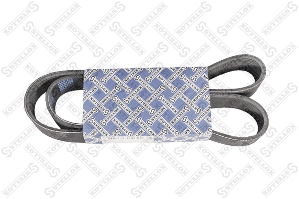 V-Ribbed Belt (01-01145-SX)