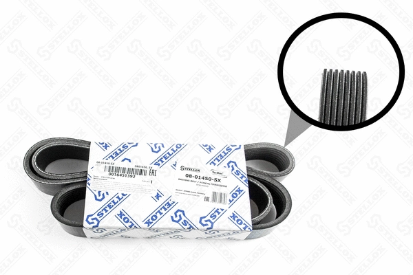 V-Ribbed Belt (08-01450-SX)