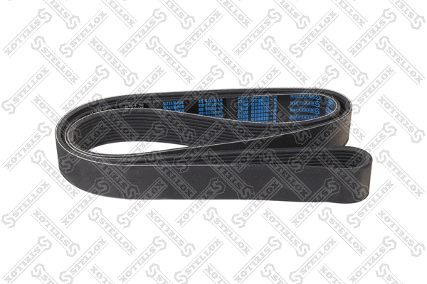 V-Ribbed Belt (01-01725-SX)