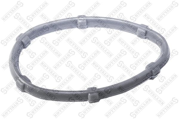 Gasket, intake manifold (11-26069-SX)