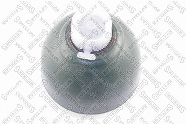 Pressure Accumulator, pneumatic suspension (70-00084-SX)