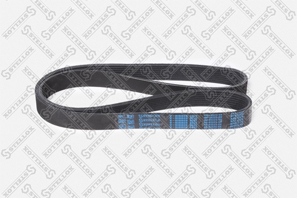 V-Ribbed Belt (08-01325-SX)