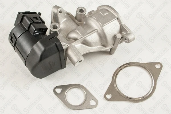 EGR Valve (01-25004-SX)