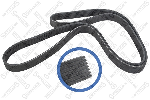 V-Ribbed Belt (07-01790-SX)