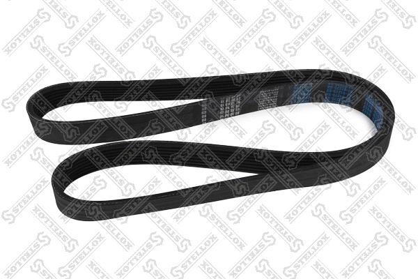V-Ribbed Belt (07-01275-SX)
