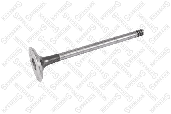 Exhaust Valve (01-24284-SX)