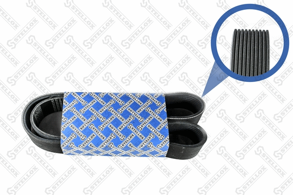 V-Ribbed Belt (01-01070-SX)