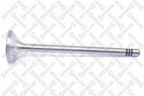 Exhaust Valve (01-24221-SX)