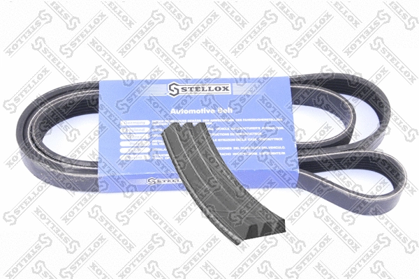 V-Ribbed Belt (03-00755-SX)