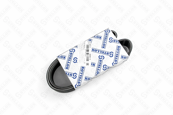 V-Ribbed Belt (08-00880-SX)